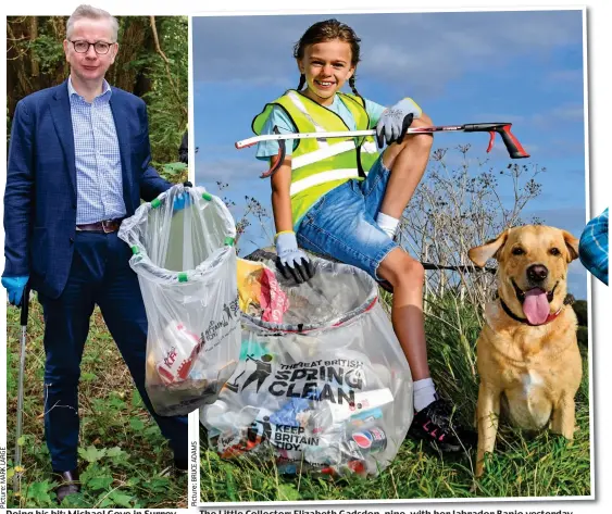  ??  ?? Doing his bit: Michael Gove in Surrey
The Little Collector: Elizabeth Gadsdon, nine, with her labrador Banjo yesterday