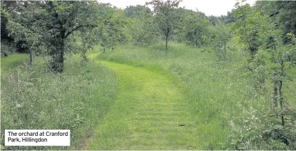  ??  ?? The orchard at Cranford Park, Hillingdon