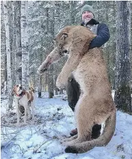  ??  ?? Canadian TV host Steve Ecklund holds a cougar in a photo from his Facebook page.