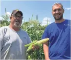  ?? LORI NICKEL ?? Since early April, farmers Blane Poulson and Jon Troiola have been preparing this sweet corn crop destined for the New Berlin Lions Club Corn roast at the Wisconsin State Fair.
