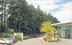  ?? PICTURE / PETER DE GRAAF ?? SPARED: The trustees of Kerikeri Retirement Village say the redwoods along the boundary put residents at risk and block winter sunshine, but they will be staying put.