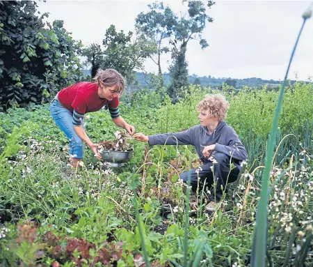  ?? HŻns-BernhŻr© Huãer/LŻif/ picture©esk.com ?? Vegane Ernährung wird spätestens dann hitzig diskutiert, wenn es um Kinder geht.