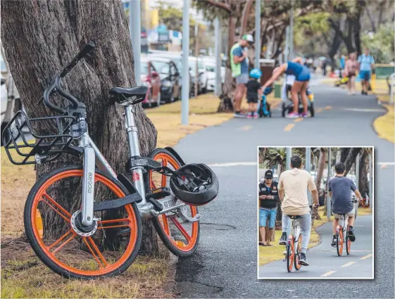  ??  ?? One of the new bike share Mobikes left up against a tree in Surfers Paradise and (inset) visitors try out the new service. Pictures: JERAD WILLIAMS