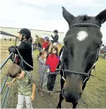  ??  ?? A young boy checks out a horse.