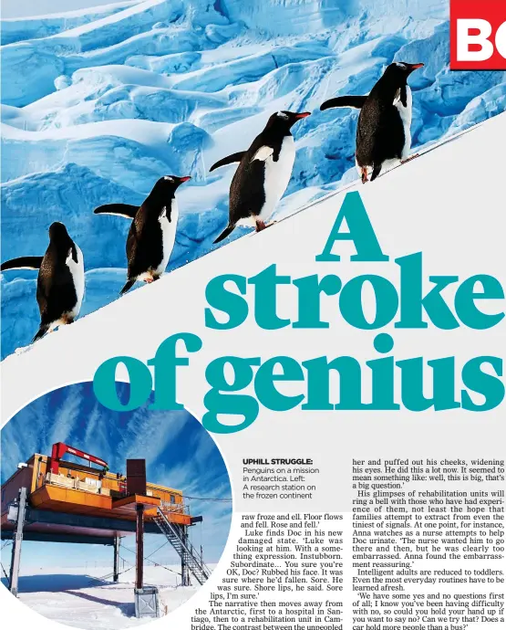  ??  ?? UPHILL STRUGGLE: Penguins on a mission in Antarctica. Left: A research station on the frozen continent
