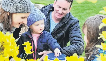  ?? PHOTO: CHRISTINE O’CONNOR ?? Starting small . . . Oneyearold Ayla of Dunedin makes her Daffodil Day donation, watched by parents Melissa and Richard Needham and Cancer Society collector Alex Clarke, in the Octagon yesterday.