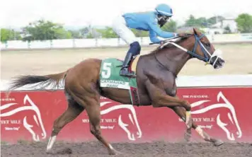  ?? (Photo: Garfield Robinson) ?? Runaway Algo (Linton Steadman) wins the $1.29-million Seeking My Dream Trophy feature race at Caymanas Park on Saturday.