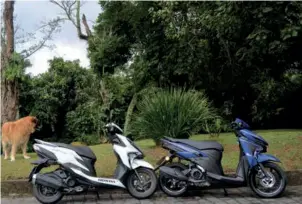  ??  ?? Comparativ­o entre Honda Elite e Yamaha Neo, ambos de 125 cc