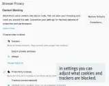  ??  ?? In settings you can adjust what cookies and trackers are blocked.