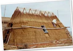  ??  ?? ABOVE A row of old boat houses are located in front of Date’s holiday home, next to the Duiwenhoks River. LEFT A thatcher is busy laying thatch on the frame of a new cottage being built in the same style as Puntjie’s historical kapstyl cottages. Thatching is a skill that was first brought to South Africa by Moravian missionari­es.