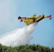  ?? Ansa ?? In volo Un canadair in volo, sotto Guido Bertolaso