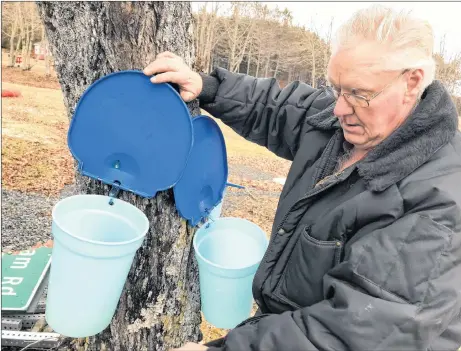  ?? THE NEWS ?? Jim Crawford shows The News a bucket where maple sap is collected at the LORDA park in Lansdowne on Saturday afternoon. Sales have been slow this year.