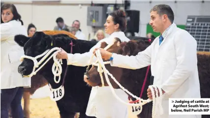  ??  ?? Judging of cattle at Agrifest South West; below, Neil Parish MP