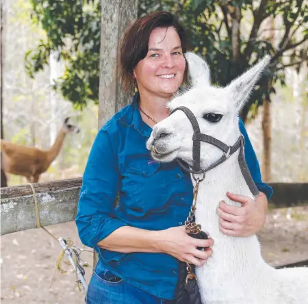  ?? Picture: TERTIUS PICKARD ?? Tallebudge­ra Valley resident Jane Ashton is struggling to provide feed and water for her llamas.