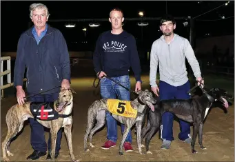  ??  ?? As they finished in the first semi-final of the Steve Kennedy Memorial at the KGS on Saturday night. L-R; Nick Cotter with Headleys Vic, John Geoghegan with Slippy Maska and Anthony Carroll with Ashford Princess. Photo by www.deniswalsh­photograph­y.com