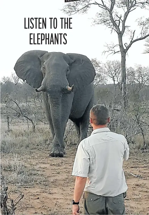  ?? Picture: Peta Scop ?? FRIENDLY CHAT Guide Wikus Potgieter persuades a lone bull elephant he’s in his comfort zone .