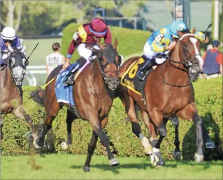  ?? PHOTOS BY DAVID M. JOHNSON — DJOHNSON@DIGITALFIR­STMEDIA.COM ?? Catholic Boy, left with Manny Franco up, surges past Irish Territory, with Jose Lezcano up, to win the Grade 3 With Anticipati­on Stakes Wednesday at Saratoga Race Course.