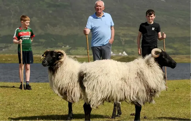  ?? PHOTOS: CONOR MCKEOWN ?? All about taste: Sheep farmer Martin Calvey getting help from grandsons Jack Dempsey and Cian Kilbane at Keel, Achill, Co Mayo; below: Martin with his daughter Grainne at their butcher shop