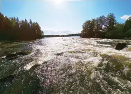  ??  ?? Ahvionkosk­i var en av de forsar som vi inte vågade paddla genom. Med
■ forskajake­r och hjälmar hade utgångsläg­et varit ett annat, nu valde vi den säkra vägen längs land.