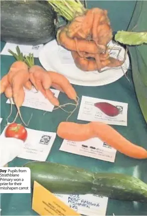  ??  ?? Joy Pupils from Strathblan­e Primary won a prize for their misshapen carrot