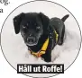  ??  ?? Håll ut Roffe!