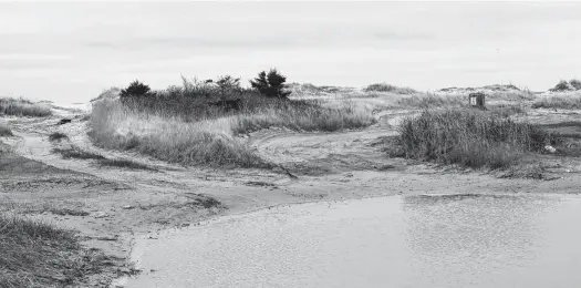  ??  ?? Implementa­tion of a four-year beaches strategy in the Municipali­ty of Barrington will begin with the developmen­t of a 165’ x 165’ parking area at the Stoney Island Beach on Cape Sable Island. Work is expected to begin soon. KATHY JOHNSON