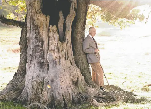  ?? CHRIS JACKSON / BUCKINGHAM PALACE / AFP VIA GETTY IMAGES ?? King Charles III stands by an ancient oak tree in Great Windsor Park to mark his appointmen­t as Ranger of the Park.