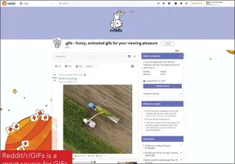  ??  ?? Reddit/r/GIFs is a great source for GIFs