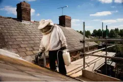  ?? (Getty/iStock) ?? Pest control takes care of a much-loathed wasp nest on a roof