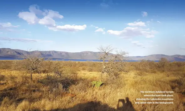  ??  ?? The northern Zululand terrain where the hunt took place, showing the Lebombo mountains and Jozini dam in the background.