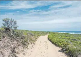  ?? Photo: Paul Botes ?? Sacred land: Thyspunt, 12km from Cape St Francis village, was identified in 2008 as a possible site for a nuclear plant.