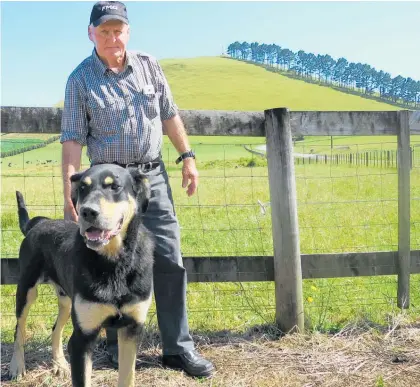  ?? Photo / Frank Malley ?? Allen Nisbet and his huntaway Heath will compete in the two events of the domestic sheep dog trial circuit where they hope to qualify for the nationals on Mt Te Ahu Ahu in May.