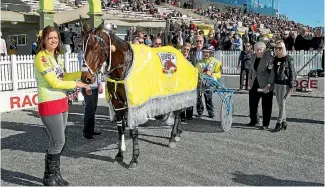  ?? PHOTO: FAIRFAX NZ ?? Mark Purdon looks set to dominate on Harness Jewels day again in 2017.