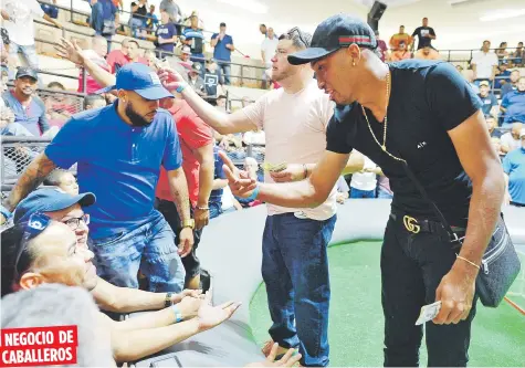  ??  ?? NEGOCIO DE
CABALLEROS Edwin Díaz, a la derecha en la foto superior, negocia una apuesta con otros galleros presentes ayer en la jugada. Mientras, a la derecha, se le ve en emoción total empujando a su ejemplar en una pelea.