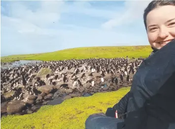  ??  ?? HAPPY FEET: Grace Sutton at the Cap Cotter penguin colony.