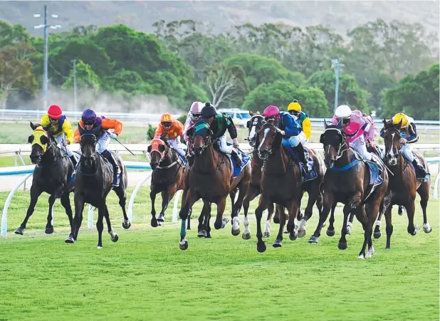  ?? Pictures: ALIX SWEENEY ?? COMPETITIV­E FIELD: Shoreline, the winner of the Magic Millions Country Cup Qualifier, ended the race 0.3 lengths ahead of her nearest rival.