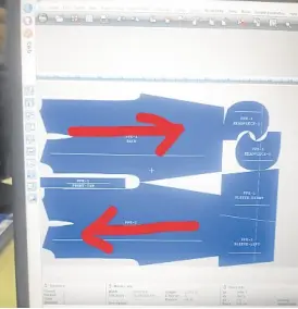  ??  ?? Digital plotting of standardiz­ed PPE