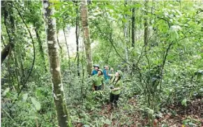  ?? — Vietnam News/ann ?? Regenerati­ve efforts: Officials from the Thanh Hóa Forest ranger patrolling the Xuân liên National park.