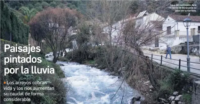  ?? JAVIER FLORES ?? Agua del nacimiento de la Estación de Benaoján a su
paso por la barriada.