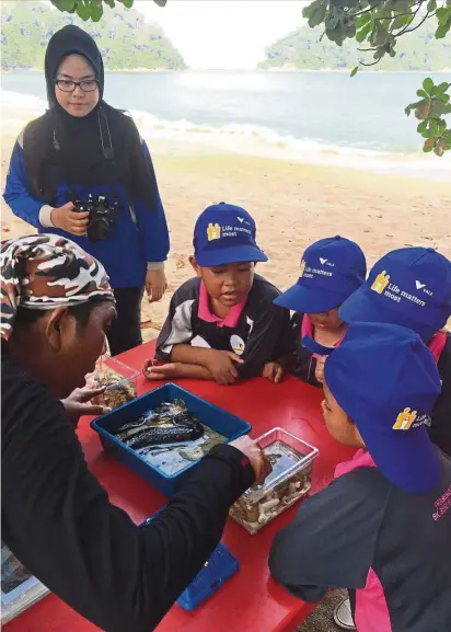  ??  ?? Nature experts teaching young ones about sea cucumbers and other marine life found on Pangkor island. — Photos: PISE