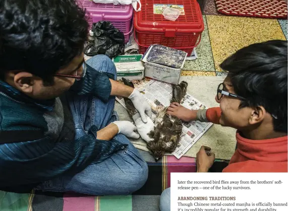  ??  ?? Nadeem ( left) is helped by Farman as they tend to an injured black kite in the surgery, which doubles as Nadeem’s bedroom.