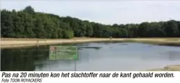  ?? Foto TOON ROYACKERS ?? Pas na 20 minuten kon het slachtoffe­r naar de kant gehaald worden.