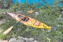  ?? ?? A kayak nestled among various flowering plants.