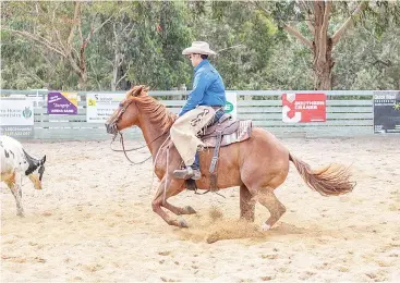  ??  ?? Jonah Vano looks to cut a cow from the main group in the cutting competitio­n, part of the Youth Hot Shots program at Koo Wee Rup.