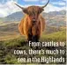  ??  ?? From castles to cows, there’s much to see in the Highlands