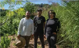  ?? ?? Francisco Diaz Ramos, 44, Marissa Reyes, 32, and Jan Paul, 29, run the Güakiá Colectivo Agroecólog­ico, an 11 acre farm in Dorado, Puerto Rico. Photograph: Angel Valentin/The Guardian