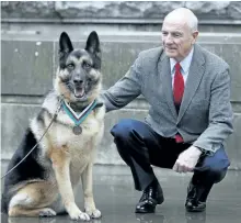  ?? KIRSTY WIGGLESWOR­TH/THE ASSOCIATED PRESS ?? John Wren of New York, who was four years old when Chips the family dog returned from the Second World War, is seen with military working dog Ayron who received the PDSA Dickin Medal, the animal equivalent of the Victoria Cross, on Chips’ behalf, in...