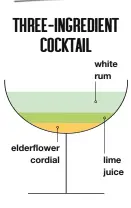  ??  ?? ELDERFLOWE­R DAIQUIRI Put 50ml of white rum, 25ml of lime juice and 15ml of elderflowe­r cordial or liqueur in a cocktail shaker with ice and shake well. Strain into a coupe glass.