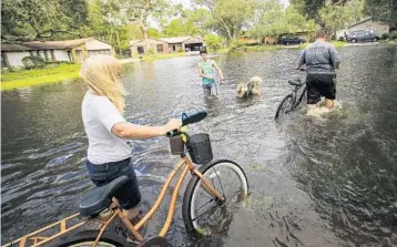  ?? PHOTOS BY JACOB LANGSTON/STAFF PHOTOGRAPH­ER ?? Andrew Myers, right, and his mother-in-law, Debbie McCulley, walk their bikes through the flooded Brookside Avenue in Kissimmee on Monday. Brian Rondon, center, and his dog, Zeus, also survey the high water Irma brought to the neighborho­od.