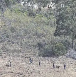  ?? EFE ?? Efectivos de la policía portuguesa en las labores de búsqueda, ayer.